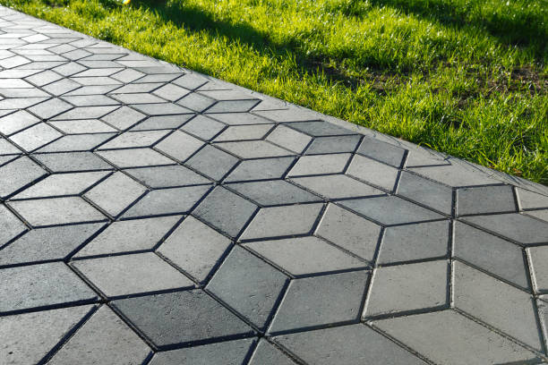 Best Driveway Paving Contractor  in Moville, IA