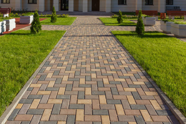 Best Custom Driveway Pavers  in Moville, IA